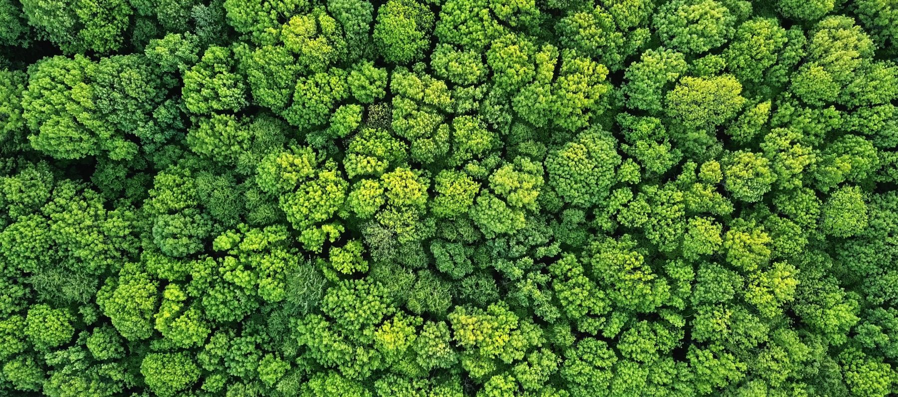 ThinkPlace is a signatory to the United Nations Global Compact