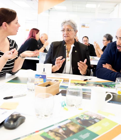 ThinkPlace researchers work on the Whenua Knowledge online hub