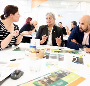 ThinkPlace researchers work on the Whenua Knowledge online hub