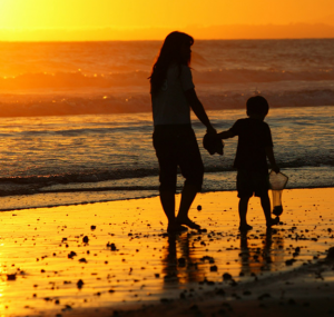 The Just Transition Summit